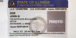 Sample of an Illinois concealed carry license. (Antonio Perez, Chicago Tribune)