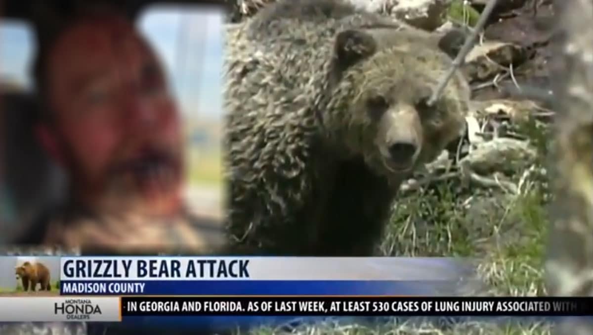 Hunter Survives Bear Attack; Shoots Grizzly In Self Defense Concealed